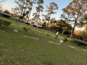 Mowed park with trees at sunset